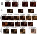 Краска для волос безаммиачная Color Pure