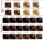 Стойкая крем-краска для волос Beauty color professional