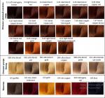 Стойкая крем-краска для волос Beauty color professional