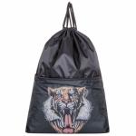 Мешок для обуви РС-7-К