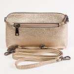 DC802-6 Gold Клатч