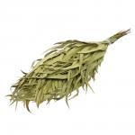 Веник эвкалиптовый в уп. "Банные штучки"/50