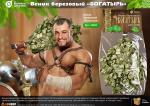 Веник березовый "Богатырь" "Банные штучки" /20