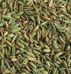 Специя Фенхель