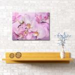 Картина "Нежная орхидея", 60*40 см                             (s-102098)