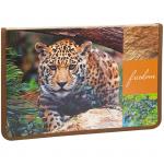 Папка для труда 1 отд., А4, ArtSpace Дикие кошки. Леопард, картон, молния вокруг, откид. планка, ПТ-Р8_15635