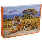 Папка для тетрадей 1 отделение, А4, ArtSpace Дикие кошки. Tiger Style, пластик, молния вокруг, ПМ-А4-04_10103