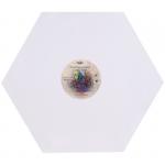 Холст на картоне шестиугольный, длина сторон 30,4см, 100% хлопок, среднее зерно, 5.06.41