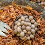 Мускатный орех цельный