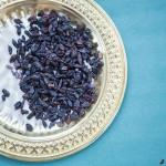 Барбарис черный