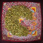 Кардамон зеленый цельный