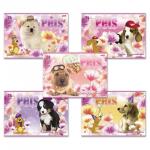 Альбом д/рис. А4 24л., скоба, обложка картон, HATBER, 205х290мм, Любимцы, 24А4В(A090770)