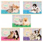 Альбом д/рис. А4 40л., скоба, обложка картон, HATBER, 205х290мм, Маленькие друзья, 40А4В(A75302)