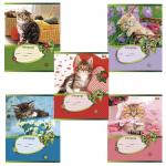 Тетрадь 18л. HATBER VK клетка, обложка картон, ЦАП-ЦАРАП (5 видов), 18Т5С1