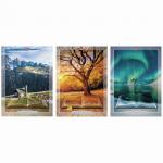 Тетрадь А4 80л. HATBER скоба, клетка, обложка картон, КНИГА СТРАНСТВИЙ (3 вида), 80Т4В3