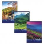 Тетрадь А4 80л. HATBER VK скоба, клетка, обложка картон, NATURE (ПРИРОДА) (3 вида), 80Т4C3