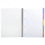 Тетрадь А4 100л. HERLITZ гребень, клетка, обложка картон, 5 разделит, College (цвет ассорти), 296491