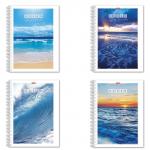 Тетрадь А4 96л. HATBER гребень, клетка, выборочный лак, ОКЕАН (4 вида), 96Т4В3гр