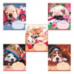 Тетрадь 12л. HATBER клетка, обложка картон, СОНИ-ЗАСОНИ (5 видов в спайке), 12Т5В1