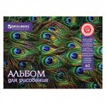Альбом д/рис. А4 40л., скоба, блестки, BRAUBERG, 202х285мм, Райские птички, 103433