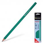 Карандаши чернографитные BRAUBERG НАБОР 12 шт., НВ, без резинки, пластик.зелен.корпус, 180677