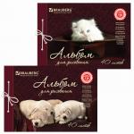 Альбом д/рис. А4 40л., на завязках, обложка картон, BRAUBERG, 205х290мм, Котенок/Щенок, 102853