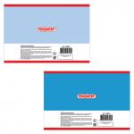 Альбом д/рис. А4 20л., скоба, обложка офсет, ПИФАГОР, 200х285мм, Неприступные замки, 104867