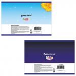 Альбом д/рис. А4 20л., скоба, обложка картон, BRAUBERG, 200х283мм, Волшебники, 104870