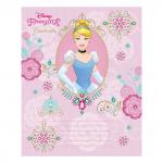 Тетрадь 12 л., HATBER, клетка, тиснение фольгой, "Принцессы-DISNEY" (5 видов в спайке), 12Т5фВ1