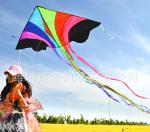 Воздушный змей яркий