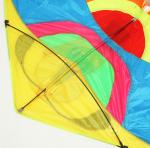 Воздушный змей Бабочка