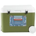 66002 Изотермический контейнер 50л зелёный (х1)