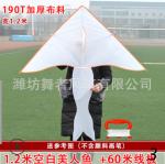 Воздушный змей Ассорти 3038