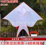 Воздушный змей Ассорти 3038