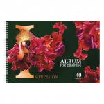 Альбом д/рис. А4 40л., спираль, конгрев, фольга, HATBER, 205х300мм, Beautiful birds (5), 40А4КфвлВсп