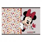 Альбом д/рис. А4 20л., скоба, обложка картон, HATBER, 205х290мм, Микки Маус-DISNEY (5 видов), 20А4В