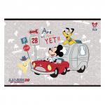 Альбом д/рис. А4 20л., скоба, обложка картон, HATBER, 205х290мм, Микки Маус-DISNEY (5 видов), 20А4В