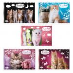 Альбом д/рис. А4 24л., скоба, обложка картон, HATBER, 205х290мм, Кошарики (5 видов), 24А4В