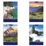 Тетрадь А4 80л. HATBER VK гребень, клетка, обложка картон, УДИВИТЕЛЬНЫЙ МИР (4 вида), 80Т4C1сп