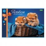 Альбом д/рис. А4 24л., скоба, обложка офсет, HATBER ECO, 205х290мм, Ассорти (5 видов), 24А4C