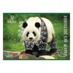 Альбом д/рис. А4 32л., скоба, обложка картон, HATBER ECO, 205х290мм, Ассорти (5 видов), 32А4C