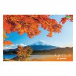 Альбом д/рис. А4 32л., скоба, обложка картон, HATBER ECO, 205х290мм, Ассорти (5 видов), 32А4C