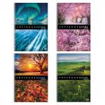 Тетрадь А4 96л. HATBER VK гребень, клетка, обложка картон, ПЕЙЗАЖИ (4 вида), 96Т4C3гр