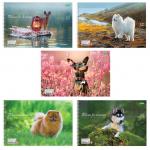 Альбом д/рис. А4 32л., спираль, обложка картон, HATBER ECO, 205х300мм, Собаки (5 видов), 32А4Cсп