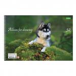 Альбом д/рис. А4 32л., спираль, обложка картон, HATBER ECO, 205х300мм, Собаки (5 видов), 32А4Cсп