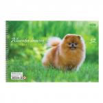 Альбом д/рис. А4 32л., спираль, обложка картон, HATBER ECO, 205х300мм, Собаки (5 видов), 32А4Cсп