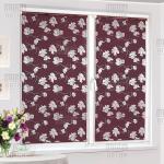 Рулонная штора "Сантайм-рисунок Премиум Ирис", ширина 34 см                              (215-38(34))