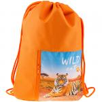 Мешок для обуви 1 отделение ArtSpace "Дикие кошки", 340*410мм, карман на молнии, МО-22пл_11446