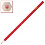 Карандаши цветные ПИФАГОР "БЫСТРЕЕ! ВЫШЕ! СИЛЬНЕЕ!", 36 цв., классические заточенные, 181359