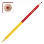 Карандаши двусторонние ПИФАГОР "ВЕСЕЛАЯ АКУЛА", 12 штук, 24 цветов, заточенные, европодвес, 181363